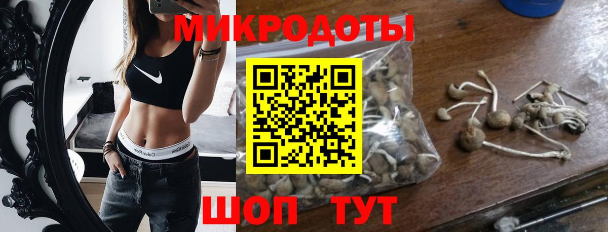 Галлюциногенные грибы MAGIC MUSHROOMS Мыски
